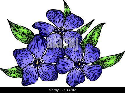 madagascar periwinkle schizzo vettore disegnato a mano Illustrazione Vettoriale