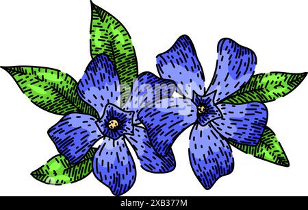 vettore disegnato a mano per schizzo periwinkle della pianta Illustrazione Vettoriale