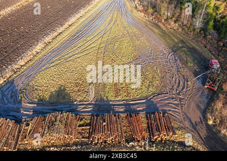 Drone di tronchi di alberi impilati nell'industria del legname Foto Stock