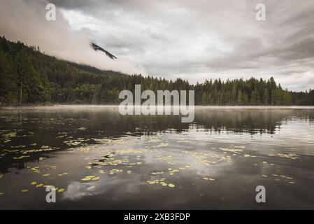 Vista panoramica degli alberi che si riflettono sul lago contro il cielo nuvoloso Foto Stock