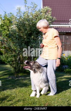 Una donna anziana allena un cane nel cortile di casa sua. Un cane grande, un pastore mix, segue i comandi del proprietario all'esterno. Messa a fuoco selettiva, primo piano. Foto Stock