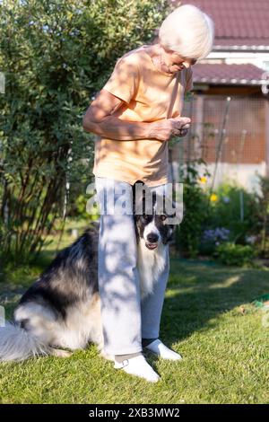 Una donna anziana allena un cane nel cortile di casa sua. Un cane grande, un pastore mix, segue i comandi del proprietario all'esterno. Messa a fuoco selettiva, primo piano. Foto Stock