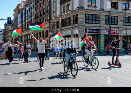 Berlin, Mitte, Friedrichstrasse, 9 giugno 2024. Manifestanti pro palestinesi in un convoglio di veicoli per protestare contro gli attacchi israeliani a Gaza. I veicoli erano adornati Foto Stock