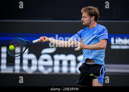 'S-HERTOGENBOSCH, PAESI BASSI - 10 GIUGNO: Il belga David Goffin gioca in prima fila nella partita del primo turno maschile contro l'italiano Luca Nardi il giorno 1 del Libema Open Grass Court Championships all'Autotron il 10 giugno 2024 a 'S-Hertogenbosch, Paesi Bassi (foto di Rene Nijhuis/Agenzia BSR) credito: Agenzia BSR/Alamy Live News Foto Stock