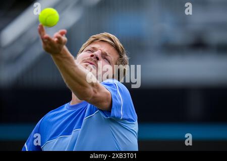 'S-HERTOGENBOSCH, PAESI BASSI - 10 GIUGNO: Il belga David Goffin partecipa al primo turno maschile contro l'italiano Luca Nardi il giorno 1 del Libema Open Grass Court Championships all'Autotron il 10 giugno 2024 a 'S-Hertogenbosch, Paesi Bassi (foto di Rene Nijhuis/Agenzia BSR) credito: Agenzia BSR/Alamy Live News Foto Stock