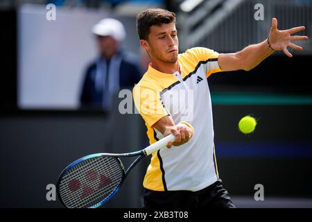 'S-HERTOGENBOSCH, PAESI BASSI - 10 GIUGNO: L'Italia Luca Nardi gioca in prima linea nella partita del primo turno maschile contro il belga David Goffin il giorno 1 del Libema Open Grass Court Championships all'Autotron il 10 giugno 2024 a 'S-Hertogenbosch, Paesi Bassi (foto di Rene Nijhuis/Agenzia BSR) credito: Agenzia BSR/Alamy Live News Foto Stock