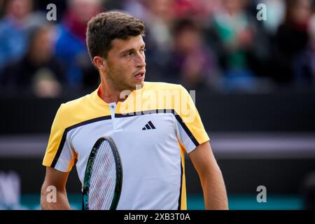 'S-HERTOGENBOSCH, PAESI BASSI - 10 GIUGNO: L'Italia Luca Nardi guarda al primo turno maschile contro il belga David Goffin il giorno 1 del Libema Open Grass Court Championships all'Autotron il 10 giugno 2024 a 'S-Hertogenbosch, Paesi Bassi (foto di Rene Nijhuis/BSR Agency) credito: Agenzia BSR/Alamy Live News Foto Stock