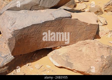 Petroglifi a Taghit, nell'Algeria occidentale Foto Stock