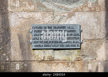 Lincoln, Regno Unito, 6 maggio 2024, Statua del poeta laureato Lord Alfred Tennyson, Lincoln, Lincolnshire, Regno Unito Foto Stock