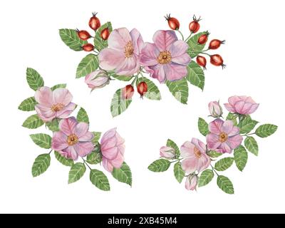 Fiori rosa rosa rosa con gemme, bacche e foglie. Ramo di fiore rosa canina in acquerello. Set clipart con bouquet di rose selvatiche floreali per design botanico, biglietto d'auguri, invito, etichetta, cosmetici Foto Stock