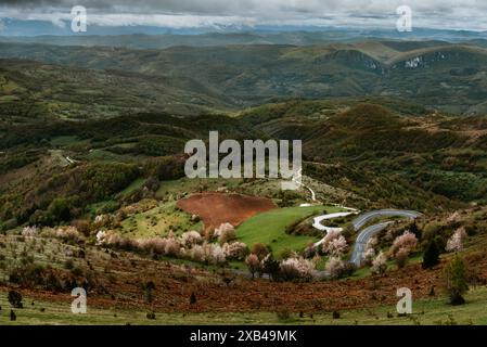 Paesaggio curvo della strada di montagna a Golija Serbia Foto Stock