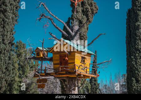 grande casa sull'albero in autunno Foto Stock