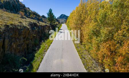 Strada asfaltata, circondata da pioppi in autunno. Foto Stock