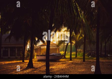 Questa immagine cattura l'atmosfera serena di una serata tropicale, dove la luce dorata del sole tramonta filtra tra tra le palme. Foto Stock