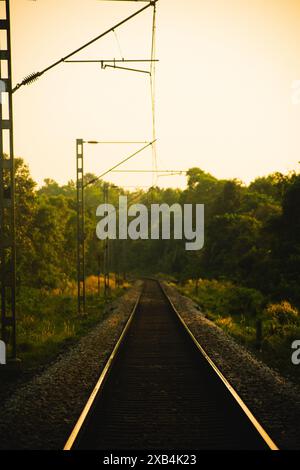 Una vista tranquilla dei binari ferroviari che si estendono in lontananza, incorniciati da lussureggiante vegetazione e bagnati dal bagliore dorato del sole che tramonta, evidenziando Foto Stock