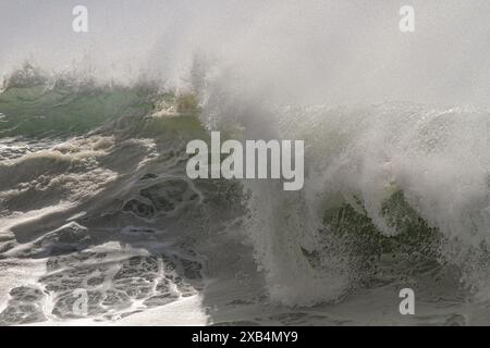 In cima a una grande onda verde dell'oceano con primo piano di spighe Foto Stock