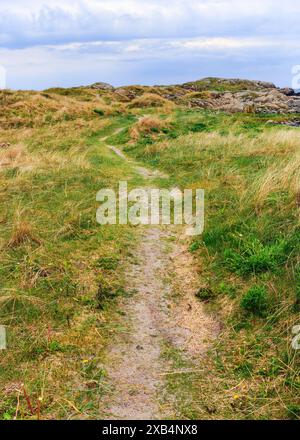 Un sentiero costiero panoramico su Lista, Norvegia, si snoda attraverso dune erbose e terreni rocciosi. Foto Stock