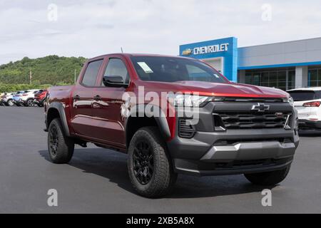 West Harrison - 9 giugno 2024: Display Chevrolet Colorado 4WD Trailboss Crew Cab. Chevy offre il Colorado con un motore turbocompresso 2.7L. IL MIO: 2024 Foto Stock