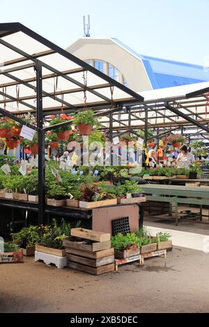 Bancarelle di fiori, frutta e verdura nello storico mercato centrale di riga, all'esterno di due storici hangar zeppelin, in Lettonia, nei Paesi Baltici. Foto Stock