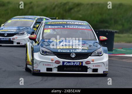 Mikey Doble, Vauxhall Astra, Evans Halshaw Power Maxed Racing, BTCC, British Touring Car Championship, round 10, 11 e 12 dei 2024 mari Foto Stock