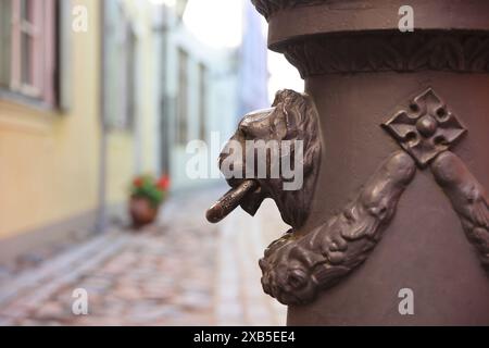 Troksnu iela, strada molto bella nella città vecchia, a riga, Lettonia, Baltici Foto Stock