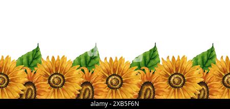 Bordo senza cuciture per girasole color acquerello. Striscione floreale con fiori gialli. Composizione floreale estiva. Disposizione dei fiori d'autunno. Botanico disegnato a mano Foto Stock