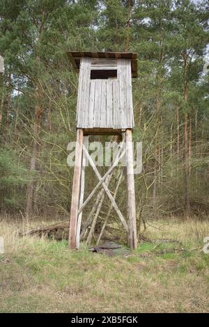 Un pulpito di caccia al cervo ai margini di una foresta. Foto Stock