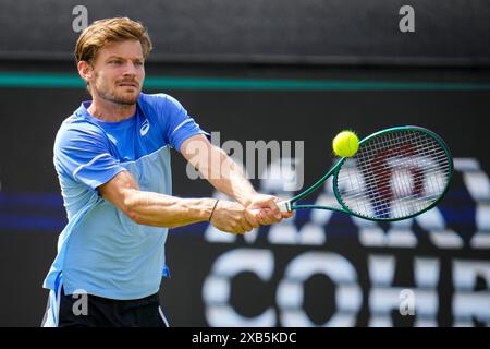 'S-HERTOGENBOSCH, PAESI BASSI - 10 GIUGNO: Il belga David Goffin gioca un rovescio nella partita del primo turno maschile contro l'italiano Luca Nardi il giorno 1 del Libema Open Grass Court Championships all'Autotron il 10 giugno 2024 a 'S-Hertogenbosch, Paesi Bassi (foto di Rene Nijhuis/Agenzia BSR) credito: Agenzia BSR/Alamy Live News Foto Stock