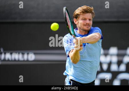 'S-HERTOGENBOSCH, PAESI BASSI - 10 GIUGNO: Il belga David Goffin gioca un rovescio nella partita del primo turno maschile contro l'italiano Luca Nardi il giorno 1 del Libema Open Grass Court Championships all'Autotron il 10 giugno 2024 a 'S-Hertogenbosch, Paesi Bassi (foto di Rene Nijhuis/Agenzia BSR) credito: Agenzia BSR/Alamy Live News Foto Stock