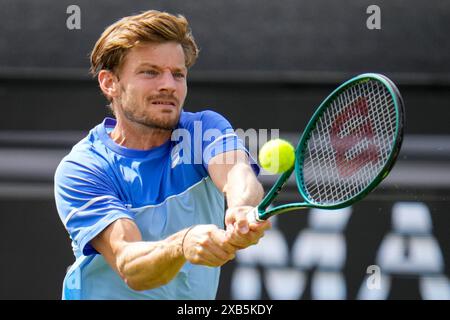 'S-HERTOGENBOSCH, PAESI BASSI - 10 GIUGNO: Il belga David Goffin gioca un rovescio nella partita del primo turno maschile contro l'italiano Luca Nardi il giorno 1 del Libema Open Grass Court Championships all'Autotron il 10 giugno 2024 a 'S-Hertogenbosch, Paesi Bassi (foto di Rene Nijhuis/Agenzia BSR) credito: Agenzia BSR/Alamy Live News Foto Stock