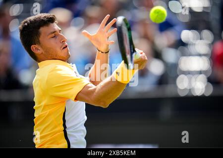 'S-HERTOGENBOSCH, PAESI BASSI - 10 GIUGNO: L'Italia Luca Nardi gioca in prima linea nella partita del primo turno maschile contro il belga David Goffin il giorno 1 del Libema Open Grass Court Championships all'Autotron il 10 giugno 2024 a 'S-Hertogenbosch, Paesi Bassi (foto di Rene Nijhuis/Agenzia BSR) credito: Agenzia BSR/Alamy Live News Foto Stock