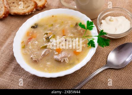 Zuppa tradizionale russa rassolnik a base di cetrioli sottaceto, orzo perlato e reni di manzo Foto Stock