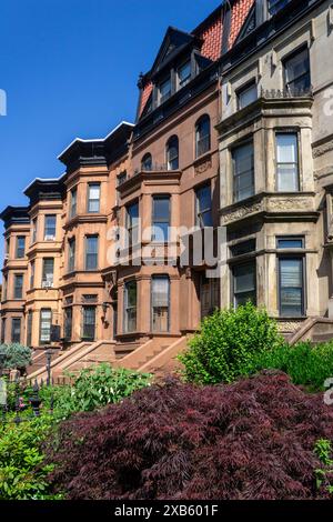 Fila di case in pietra arenaria, MacDonough Street, Bedford-Stuyvesant, Brooklyn, New York City, New York, Stati Uniti Foto Stock