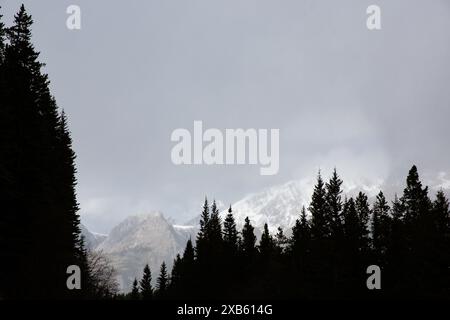 South Lawson Peak, Kananaskis, Alberta, Canada Foto Stock