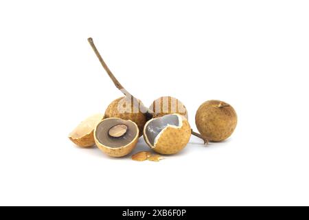 Frutti longan sul ramo, uno dei frutti è aperto, mostrando il suo seme nero all'interno, frutto dell'occhio di drago o bao longan Foto Stock