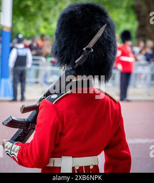 Un soldato partecipa alla revisione del Colonnello per l'imminente Trooping of the Colour. La rivista del colonnello è identica alla parata del compleanno di Kingís, con l'eccezione che alcuni ufficiali a cavallo aggiuntivi cavalcano su quest'ultima. Vi parteciperanno oltre 1400 soldati della divisione Household e della Kingís Troop Royal Horse Artillery, tra cui 400 musicisti delle bande massed, che sfileranno tutti sulle guardie a cavallo per la seconda delle due revisioni formali. Il Colonel's Review include anche 250 soldati delle Foot Guards che percorreranno il percorso processionale lungo il Mall. Foto Stock