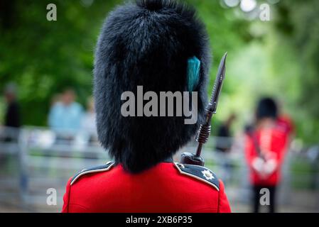 Londra, Regno Unito. 8 giugno 2024. Un soldato partecipa alla revisione del Colonnello per l'imminente Trooping of the Colour. La rivista del colonnello è identica alla parata di compleanno di KingÃ-S, con l'eccezione che alcuni ufficiali a cavallo aggiuntivi cavalcano su quest'ultima. Vi parteciperanno oltre 1400 soldati della Household Division e della KingÃ-S Troop Royal Horse Artillery, tra cui 400 musicisti delle Massed Bands, che sfileranno tutti sulle Horse Guards per la seconda delle due Recensioni formali. La revisione del Colonnello include anche 250 soldati delle Foot Guards che metteranno in fila la rotta processionale Foto Stock