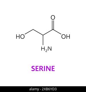 Amminoacido serino, struttura molecolare chimica e formula della catena molecolare, icona del vettore. Struttura molecolare e formula a catena dell'amminoacido proteinogeno per la medicina e lo studio di biosintesi Illustrazione Vettoriale