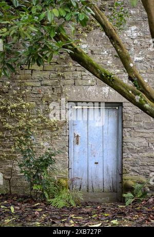 Porta blu nel giardino murato. Foto Stock