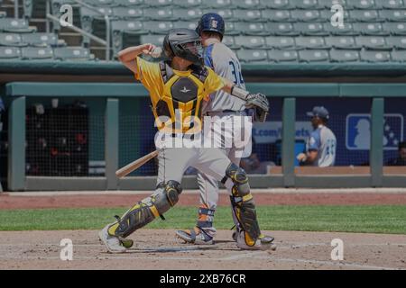 Maggio 26 2024: Anthony Mulrine (36), il ricevitore di Salt Lake, in azione durante la partita di Sugar Land e Salt Lake tenutasi allo Smiths Ballpark di Salt Lake City Ut. David Seelig/Cal Sport medi Foto Stock