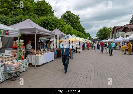 Dobele, Lettonia - 8 giugno 2024: Un vivace mercato di strada con venditori che vendono vari prodotti. Foto Stock