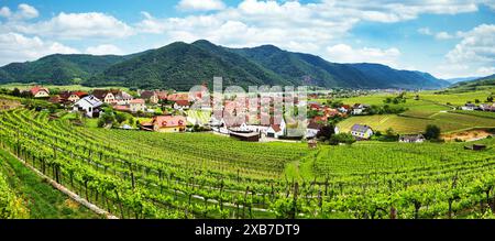 Il villaggio storico di Weissenkirchen si trova nella zona viticola, nel paesaggio della bassa Austria Foto Stock