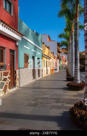 Case colorate con palme nelle strade di "Puerto de la Cruz" Foto Stock