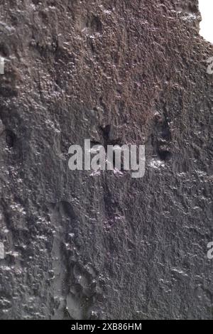 Armi, spade, 16° secolo, LIBERATI Foto Stock