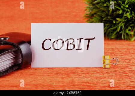 Testo COBIT su una scheda bianca davanti a uno sfondo arancione con una pianta sullo sfondo Foto Stock