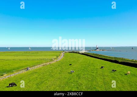 Ripresa aerea di un faro a Marken, con vista sull'orizzonte, mucche in primo piano Foto Stock