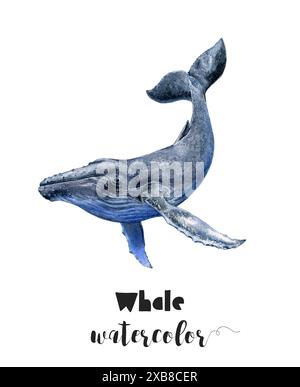 Decorazione Parete Acquerello Quadro Tela Megattera All'Alba