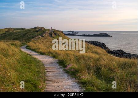 Un sentiero che conduce attraverso dune di sabbia erbosa che si affacciano sull'oceano. e' sera e la scena e' inondata di luce dorata Foto Stock