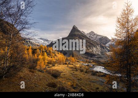 Vista panoramica della valle di Ferpecle e del monte Monte Mine in autunno all'ora d'oro, con un fiume circondato da larici dorati illuminati Foto Stock