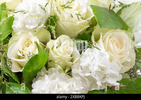 Botanica, bouquet di fiori in bianco, ATTENZIONE! PER L'USO DI GREETINGCARD/CARTOLINA NEI PAESI DI LINGUA TEDESCA POTREBBERO ESSERE APPLICATE ALCUNE RESTRIZIONI Foto Stock